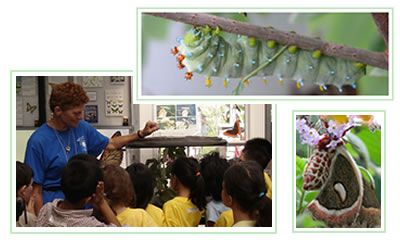 "Butterflies & Blooms" Butterfly Conservatory with educator and students observing metamorphosis