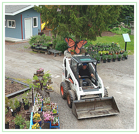 Blue Willow Garden & Landscape Design Centre