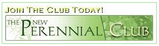 Perennial News join the club logo