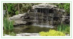 Blue Willow Garden Centre pond with waterfall and plants