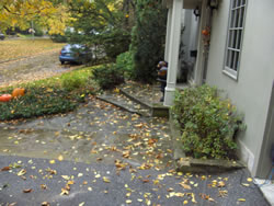 Before: front steps and walkway